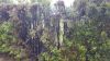 Brandeinsatz